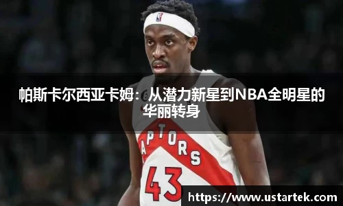 三亿体育官网
